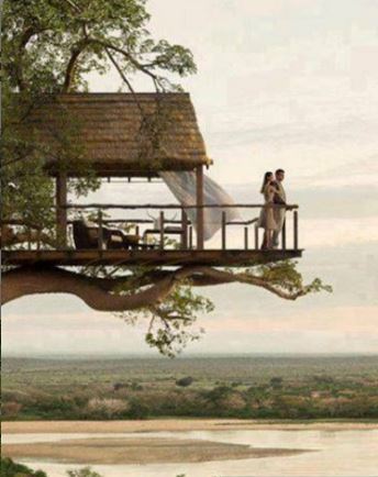 treehouseii.jpg