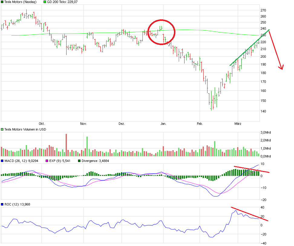 chart_halfyear_teslamotors.png