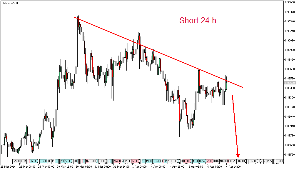 nzdcadh1.png