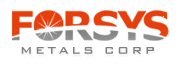 20051011-forsys.jpg