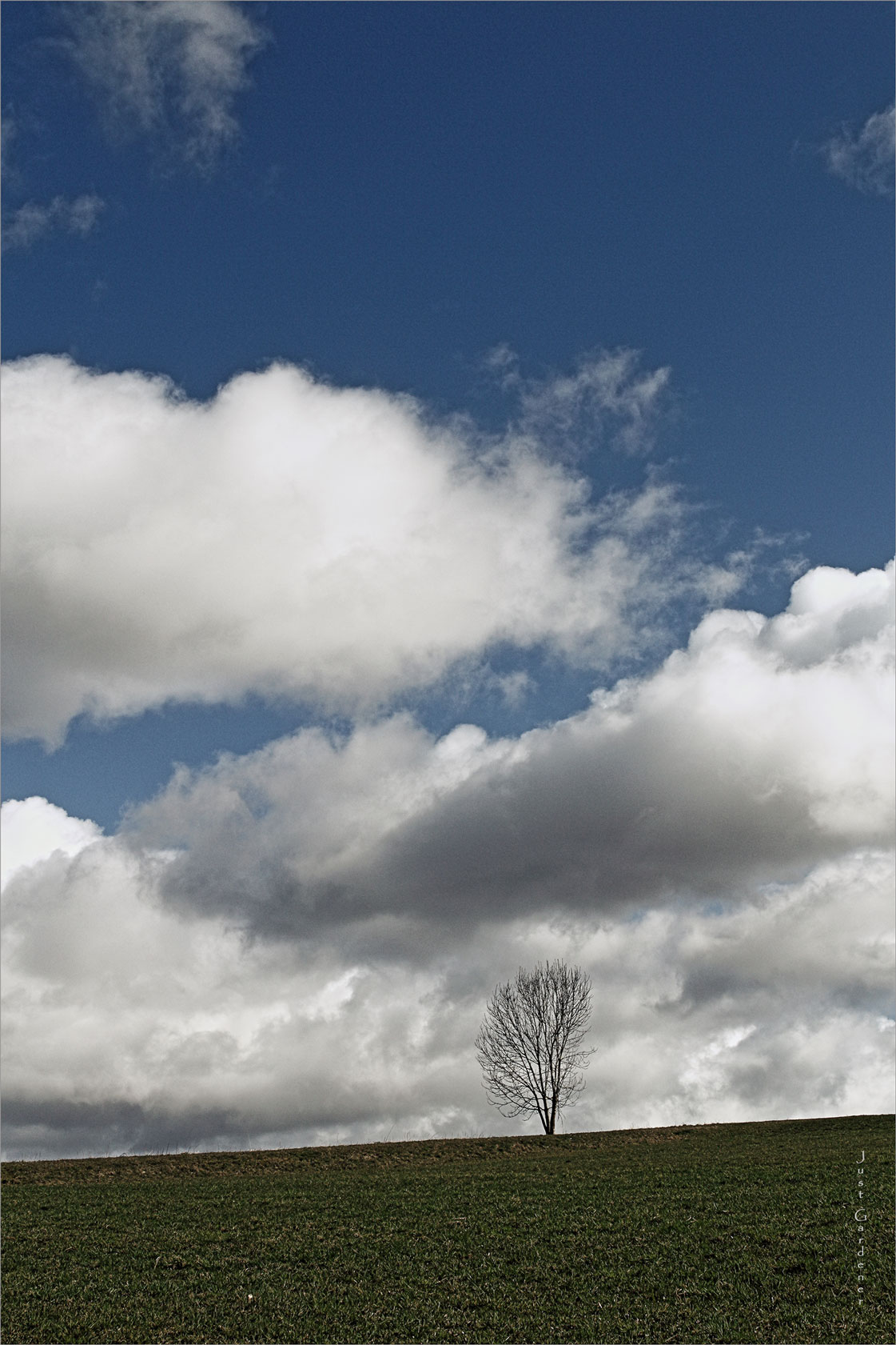 baum-an-himmel.jpg