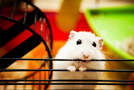 shutterstock_175255649.jpg
