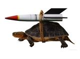 mit_rakete.bmp