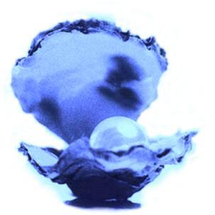 Blaue_perle.jpg