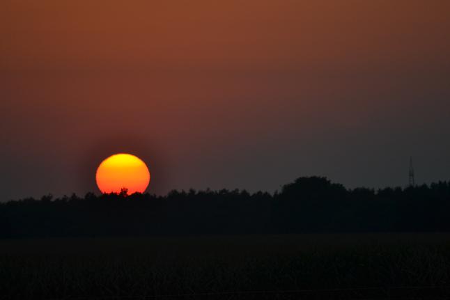 sonne.jpg