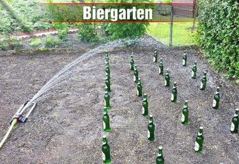 biergarten.jpg