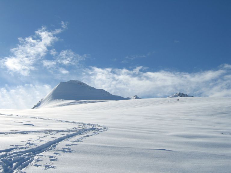 Niederjochferner-Similaun.jpg