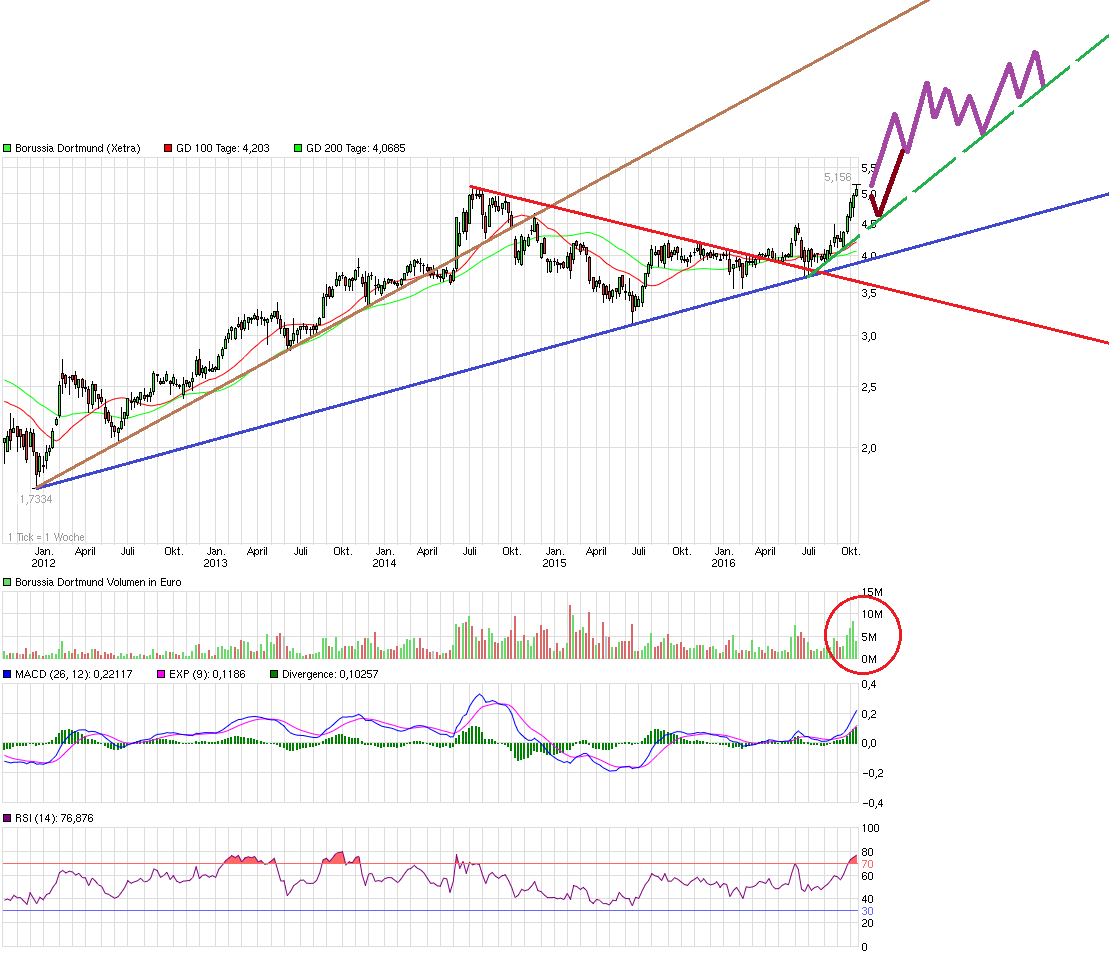 chart_5years_borussiadortmund.png