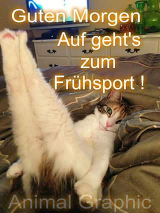 guten_morgen_-_fru__hsport.jpg