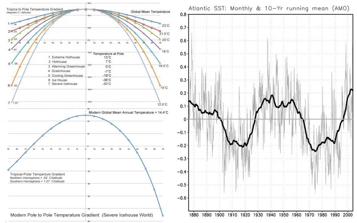 temp-profile-amo.jpg