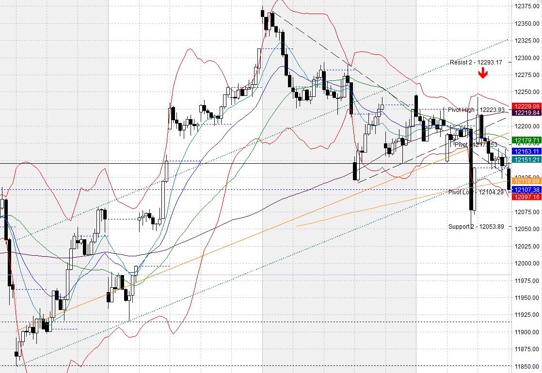 dax5.jpg