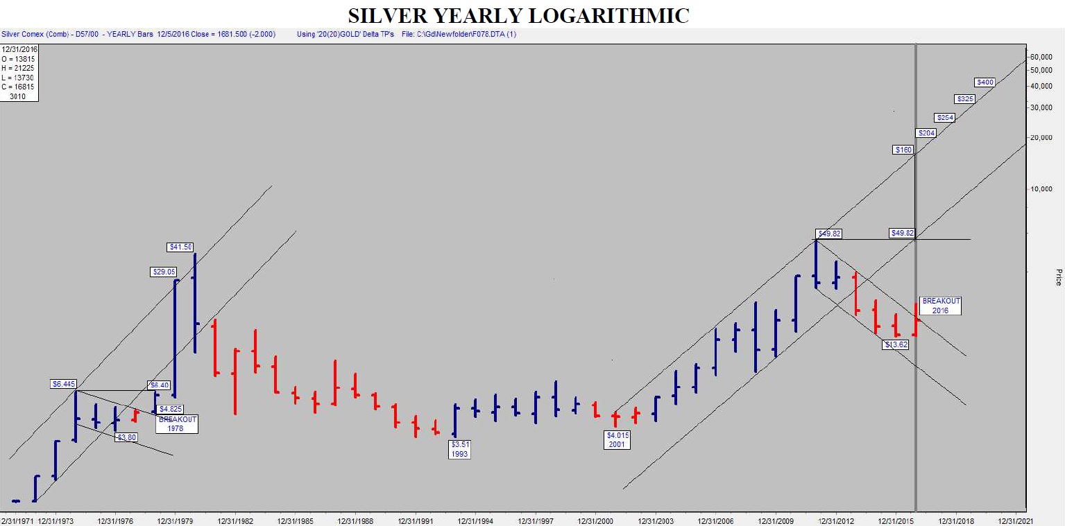 the_bigger_picture_silver.jpg