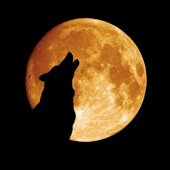 vollmond2.jpg
