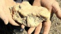 Goldsucher findet Vier-Kilo-Nugget in Australien