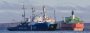 Greenpeace-Crew in Haft in Russland: Gazprom-Lobby statuiert Exempel - SPIEGEL ONLINE
