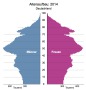 Hätten Sie gewusst, ...?: Altersstruktur Deutschland 2014 - Bevölkerungspyramide, Altersaufbau 