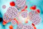 HPV vaccination may benefit boys as well as girls - Medical News Today