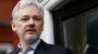 Julian Assange: Schweden stellt Ermittlungen ein - SPIEGEL ONLINE