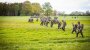 Landwirt findet Kinderleiche in Niedersachsen - Polizei: „wahrscheinlich“ Arian - FOCUS online
