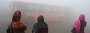 Luftverschmutzung: Smog in Neu Delhi Indien schlimmer als Peking China - SPIEGEL ONLINE