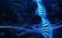 Mirror-Image Enzyme Copies Looking-Glass DNA - Scientific American