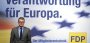 Mitgliederentscheid zum Euro: Schlammschlacht in der FDP - SPIEGEL ONLINE - Nachrichten - Politik