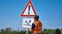 Neues Verkehrszeichen in Hessen: Schilder warnen vor tieffliegenden Störchen - DER SPIEGEL