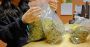 Op-Ed: This will be the next marijuana capital of the world