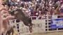 Oregon in den USA: Bulle springt über Zaun in Zuschauermenge – mehrere Verletzte - DER SPIEGEL