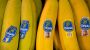 Panama hofft auf Rückkehr von US-Bananenkonzern Chiquita - DER SPIEGEL