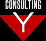 Professional Employer Organization (PEO) - Consulting Y