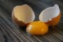 Pünktlich zu Ostern: Dioxin in Bio-Eiern entdeckt – Betrieb gesperrt - Nachrichten Wirtschaft - WELT ONLINE