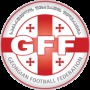 Qualifikation für die Europameisterschaft Georgien 1 - 2 Republik Irland Spielbericht - Goal.com
