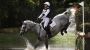 Reitsport: Britische Reiterin Georgie Campbell verunglückt tödlich bei Turnier - DER SPIEGEL