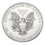 Silver coins the new hot haven investment?- MSN Money