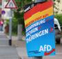 Sonneberger AfD-Stadtrat soll Nazi-Parolen gerufen haben - WELT