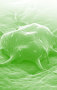 Stage Cell Therapeutics - Home