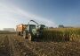 Strenge Zölle auf russisches Getreide: EU will Moskaus Kriegskasse schwächen - FOCUS online