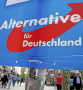 Südwest: Streit entzweit die AfD im Südwesten - badische-zeitung.de