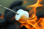 Tag der gerösteten Marshmallows 2016 - 30.08.2016