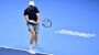Tennis: Jannik Sinner steht nach Sieg gegen Taylor Fritz schon fast im Halbfinale der ATP Finals - DER SPIEGEL