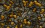 Trendlink - Aktien Gold - Exploration finden, umfangreiche Aktienlisten und Analysen zu Gold - Exploration