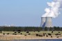Trotz Unfall in Harrisburg: USA genehmigen ersten Atomreaktor nach 30 Jahren - Nachrichten Politik - Ausland - WELT ONLINE