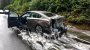 USA: Aale überziehen Highway in Oregon mit Schleimschicht - SPIEGEL ONLINE