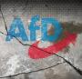 Verdacht auf Bestechung: Vorermittlungen zu „angeblichen Zahlungen“ an AfD-Politiker Krah aus Russland und China gestartet - WELT