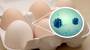 Vorsicht Gesundheitsgefahr: Alte Eierkartons auf keinen Fall wiederverwenden - Gesundheit - FOCUS online