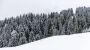 Wetter in Deutschland: Weiße Weihnachten in Sicht - bis zu 15 Zentimeter Neuschnee in den Alpen - DER SPIEGEL