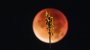 Wie Sie die Blutmond und Mondfinsternis beobachten können - SPIEGEL ONLINE