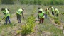 Work or starve: Hungary to phase out unemployment assistance by 2018 - The Budapest Beacon