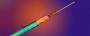 World’s First-in-Human Clinical Trial of a Novel Cancer Vaccine Immuno-Oncology News
